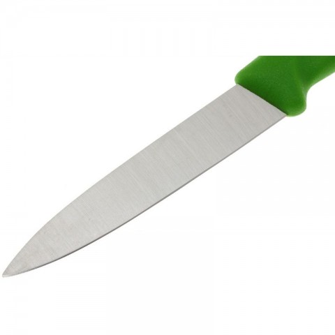 VICTORINOX SWISS CLASSIC PARING KNIFE SET, 2 PIECES green