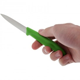 VICTORINOX SWISS CLASSIC PARING KNIFE SET, 2 PIECES green